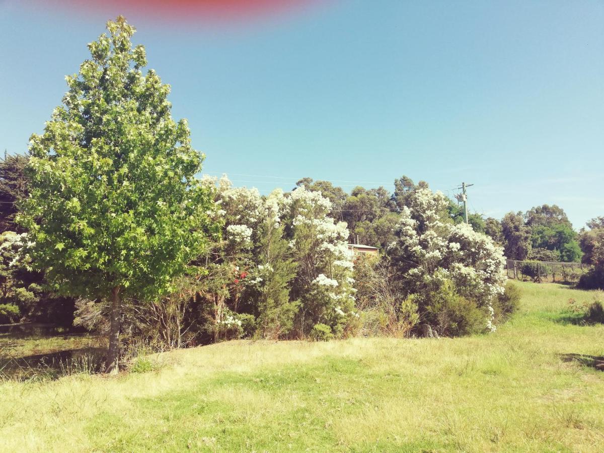 Woodlands Of Balingup Bush Cottages Kültér fotó