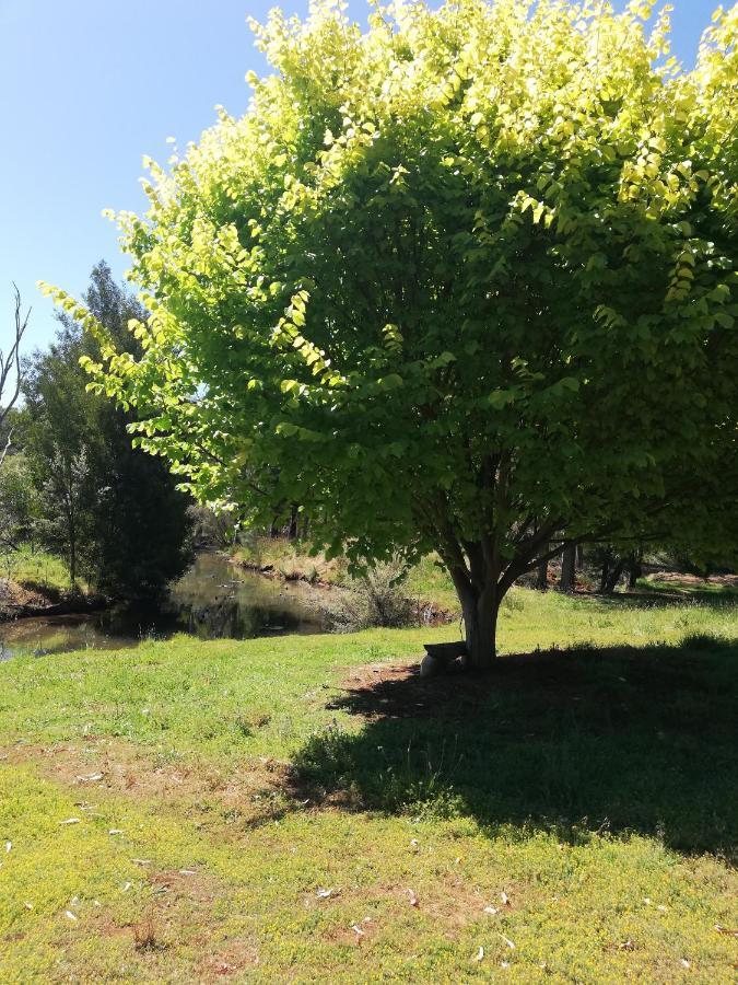 Woodlands Of Balingup Bush Cottages Kültér fotó